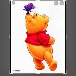 Meet your Posher, Margoth